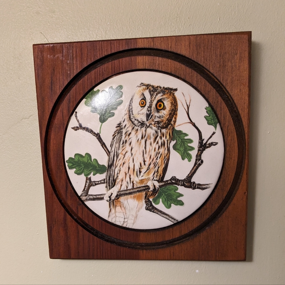 Wood Framed Art Round Ceramic Owl Tile Wall Decor Cabin Brown & White Tree 7" SQ